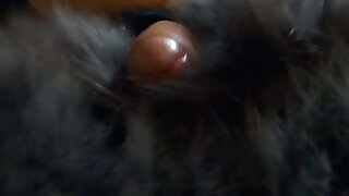 Pov