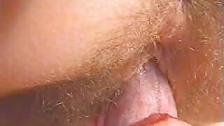 დომინირება